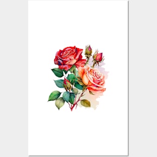 Two Watercolor Roses Posters and Art